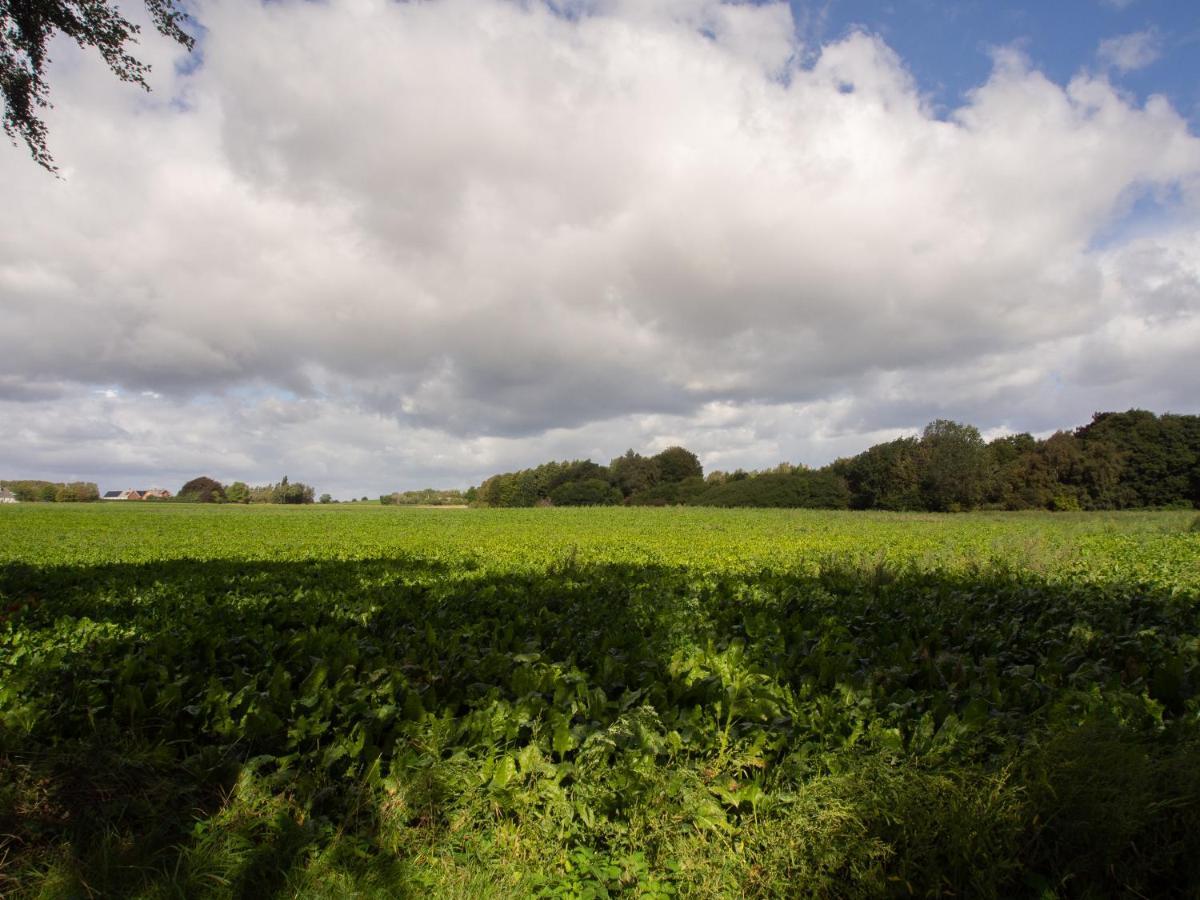 Kamilla's Cottage, 1 Km. From The